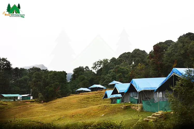 Buzz Eco Camp, Chopta