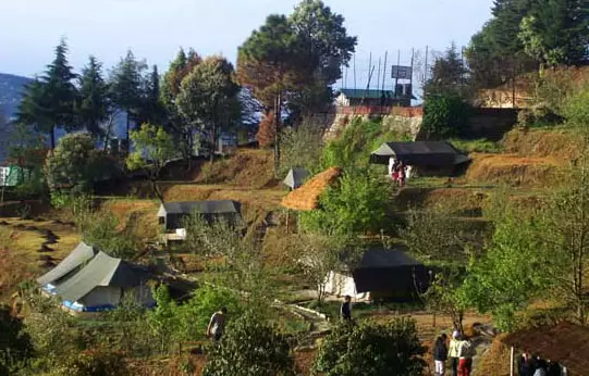 Wildrift Camp Purple, Mukteshwar