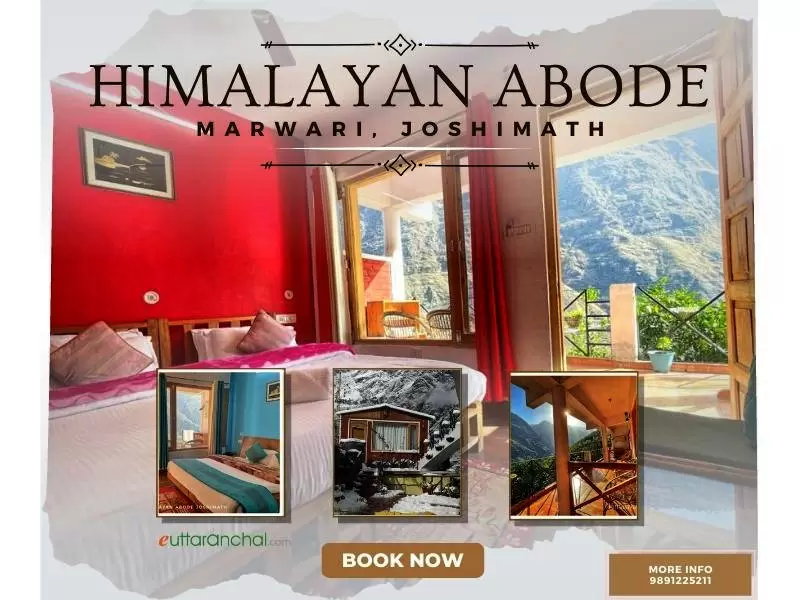 Himalayan Abode Home Stay, Jyotirmath