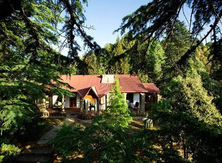 Mary Budden Estate, Binsar