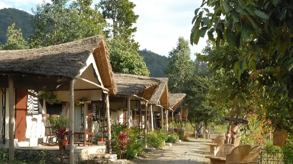 The Jamoon, Corbett National Park