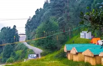 Himalayan Roots Photos