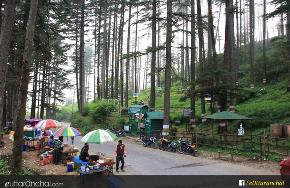 Dhanaulti Hill Station - Dhanaulti Travel Guide, Dhanaulti Weekend Trip