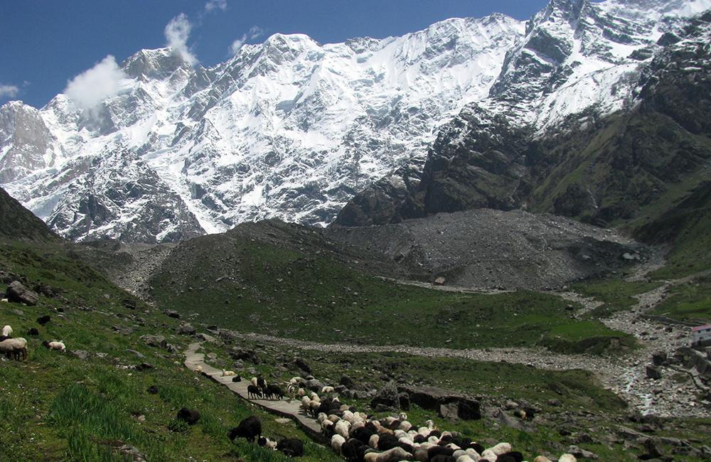 kedarkantha tour package