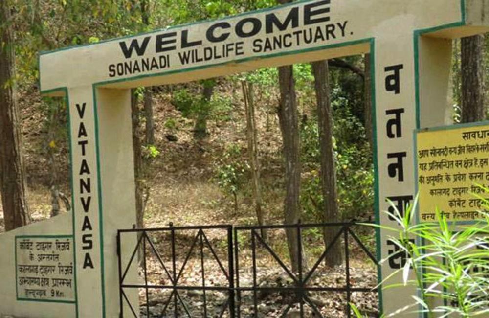 Sonanadi Wildlife Sanctuary: Explore Untamed Natural Beauty