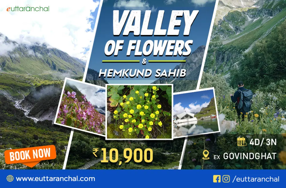 3 Nights Valley of Flowers Package (ex-Govindghat)