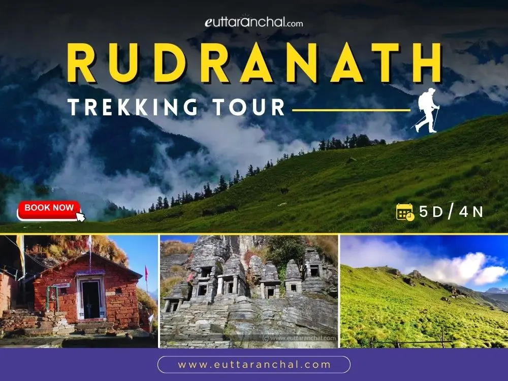 Rudranath 4 Nights Trekking Package
