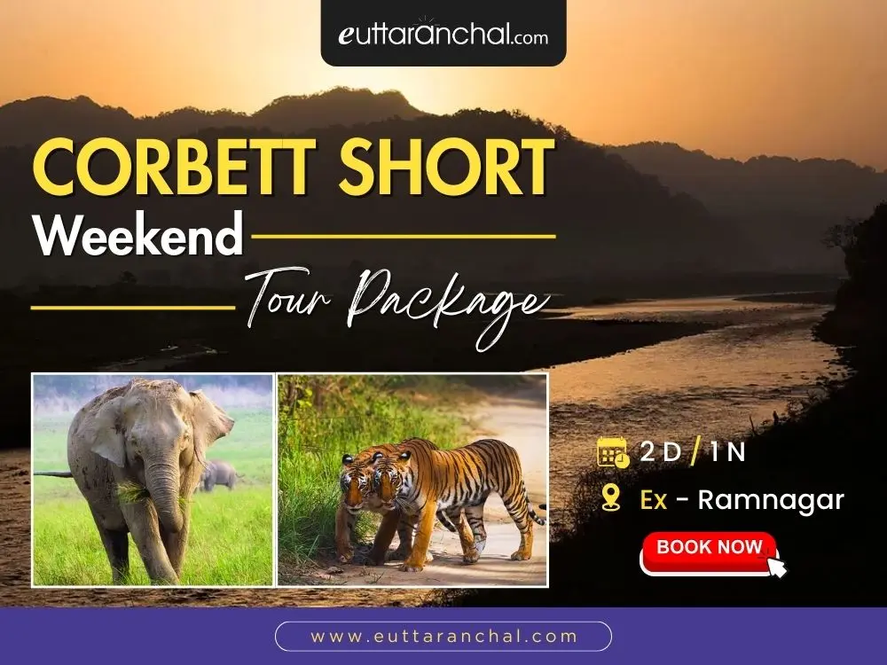 Jim Corbett Short - 1 Night Weekend Package