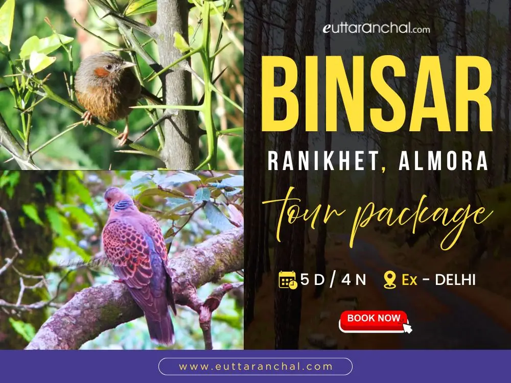 4 Nights Binsar With Ranikhet Almora
