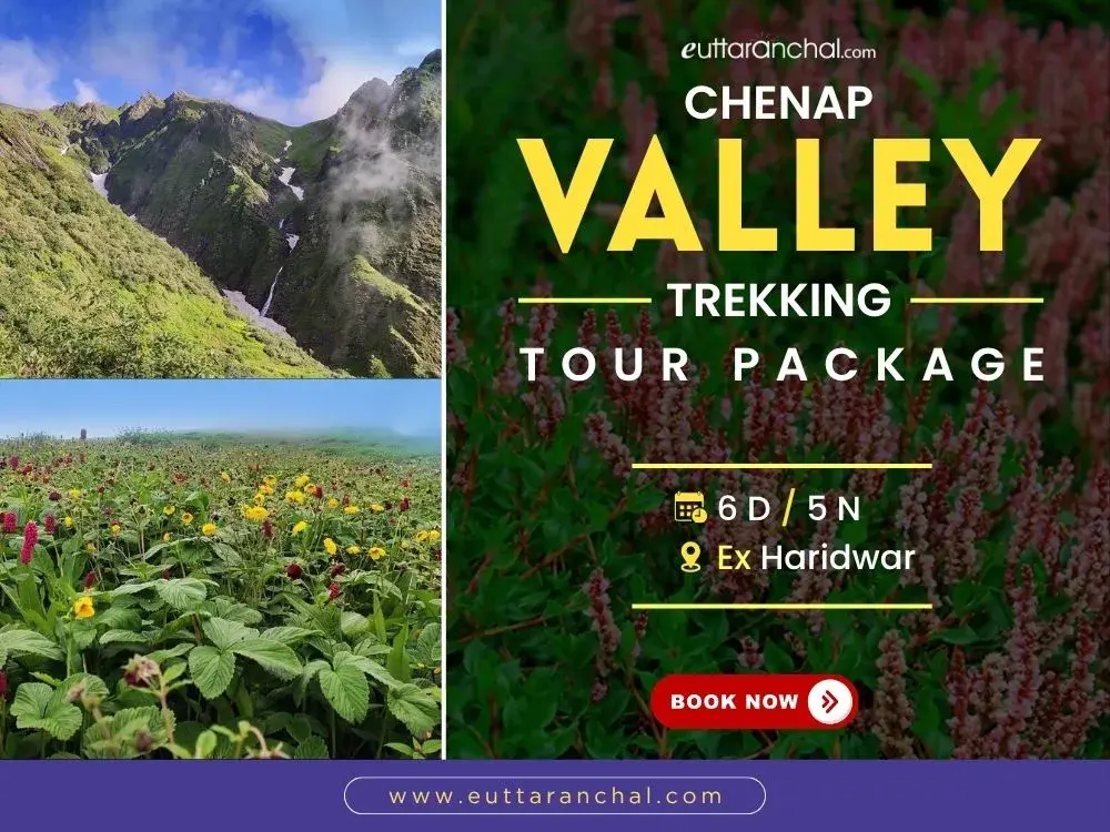 Chenap Valley Trek