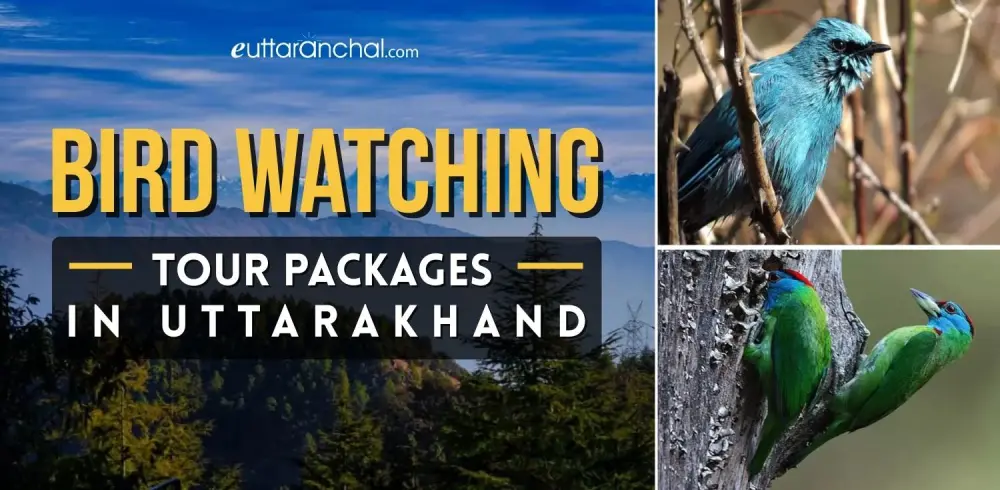 Bird Watching Tours in Uttarakhand