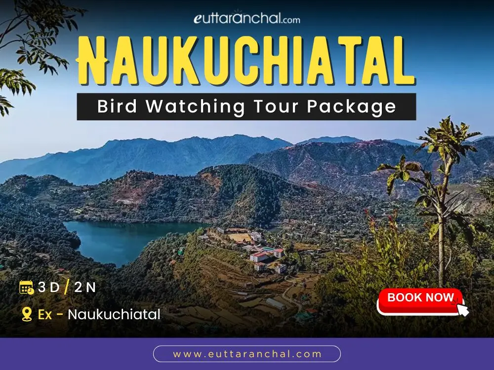 Naukuchiatal Bird Watching Tour