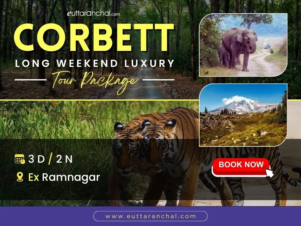 Jim Corbett Long Weekends Luxury Package