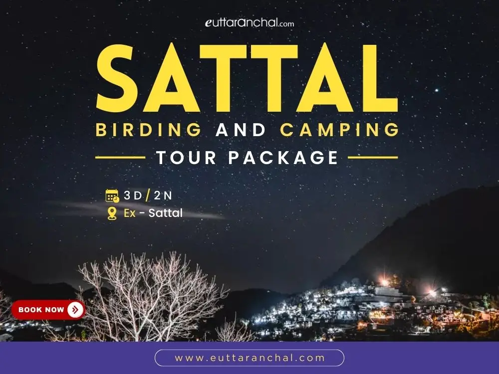 Sattal Bird Watching and Camping Tour