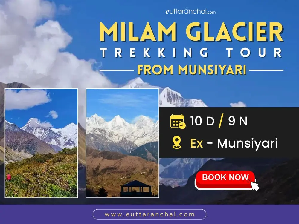 Milam Glacier Trekking Tour from Munsiyari