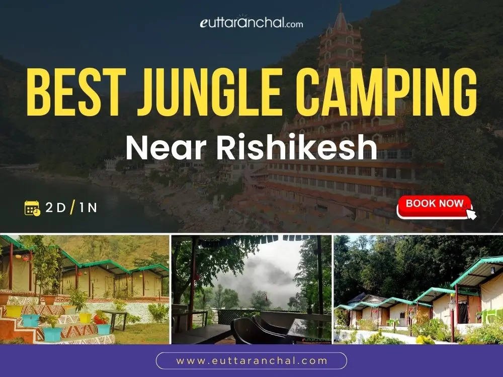 Rishikesh Jungle Camp Online Booking