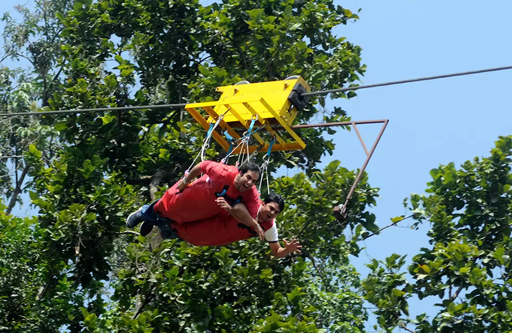 Tandem flying fox activity. Pic: 