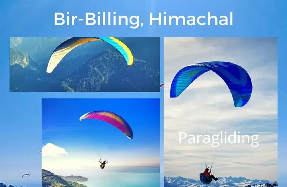 Paragliding in Bir Billing Photos