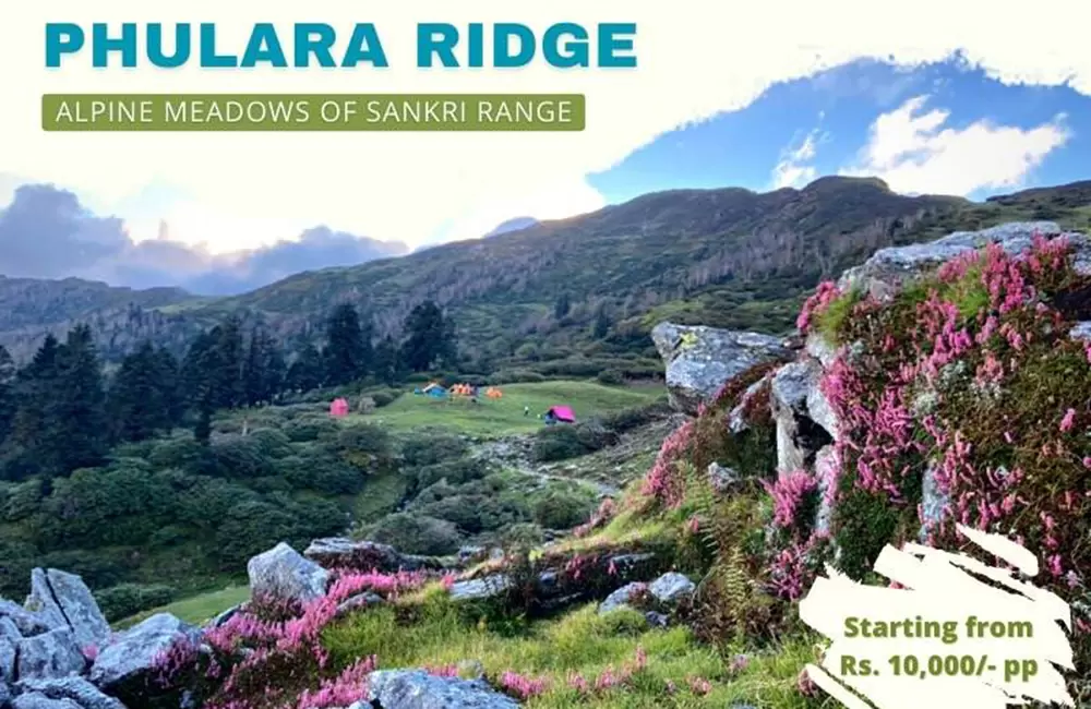 Best Phulara Ridge with Pushtar Bugyal Trekking Package from Sankri