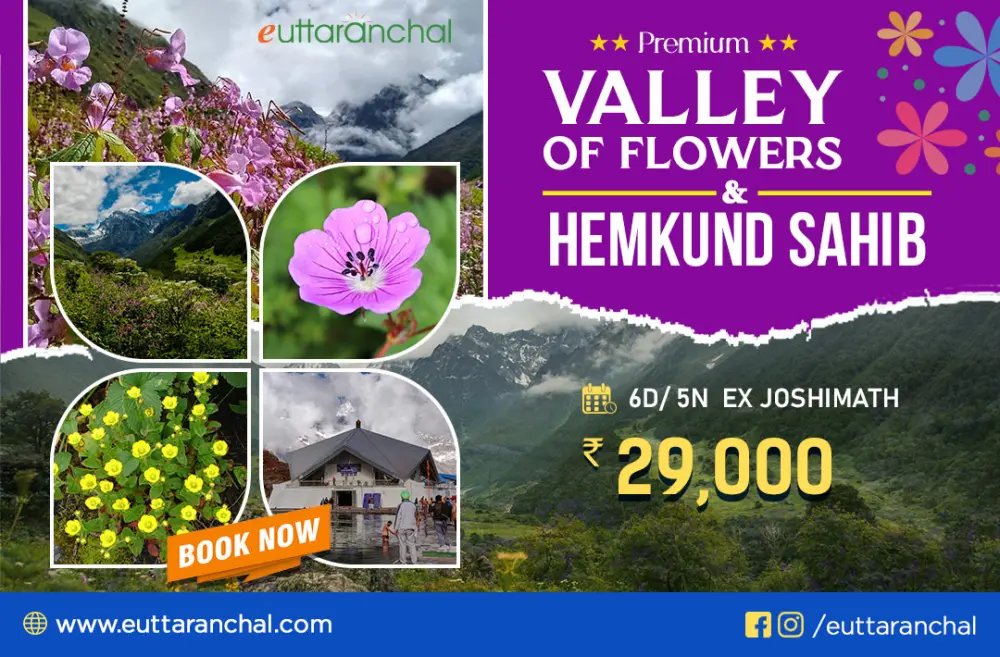 Valley of Flowers Luxury Trekking Package (ex-Joshimath)