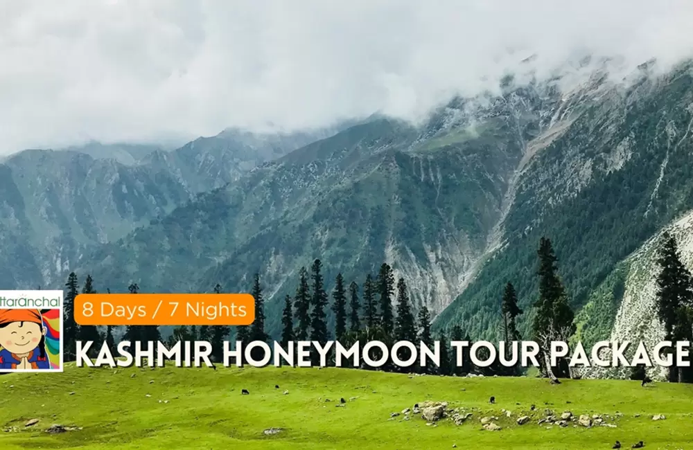 Kashmir 8 Days Honeymoon Tour Package