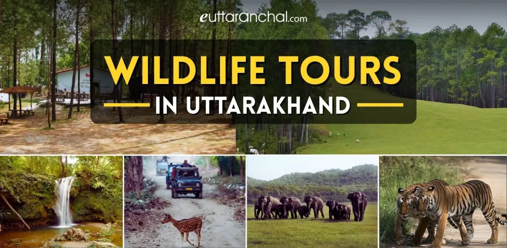Wildlife Tours Tours Uttarakhand