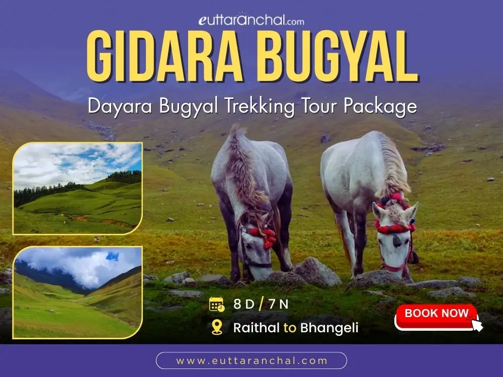 Gidara Bugyal and Dayara Bugyal Trek Package