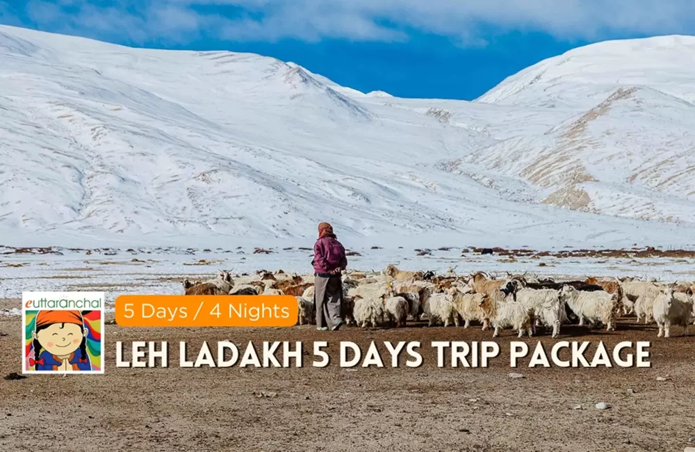 Leh Ladakh 5 Days Trip Package