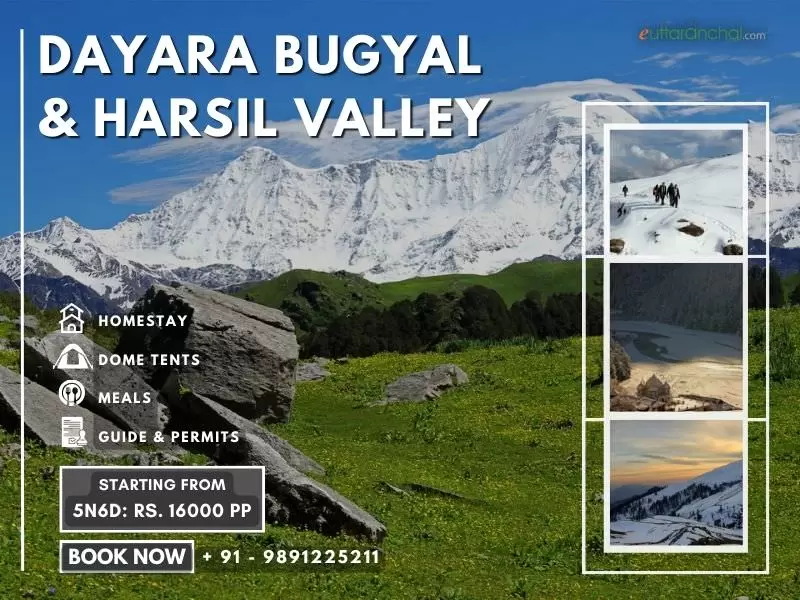 Dayara Bugyal Trek with Harsil Valley Tour