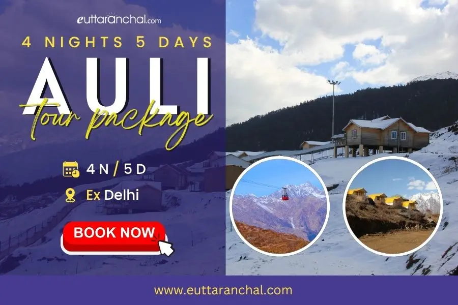 Auli Tour Package from Delhi