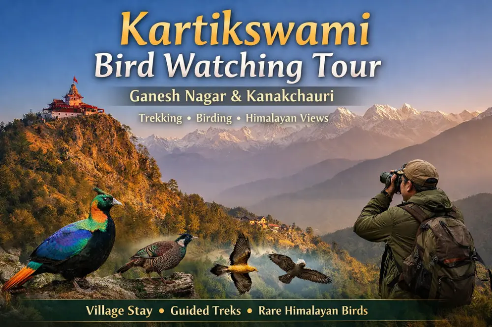 Bird Watching in Ganesh Nagar near Kartikswami