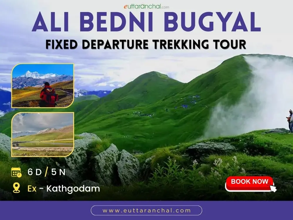 Bedni Bugyal Trek - Ex Kathgodam with Transport