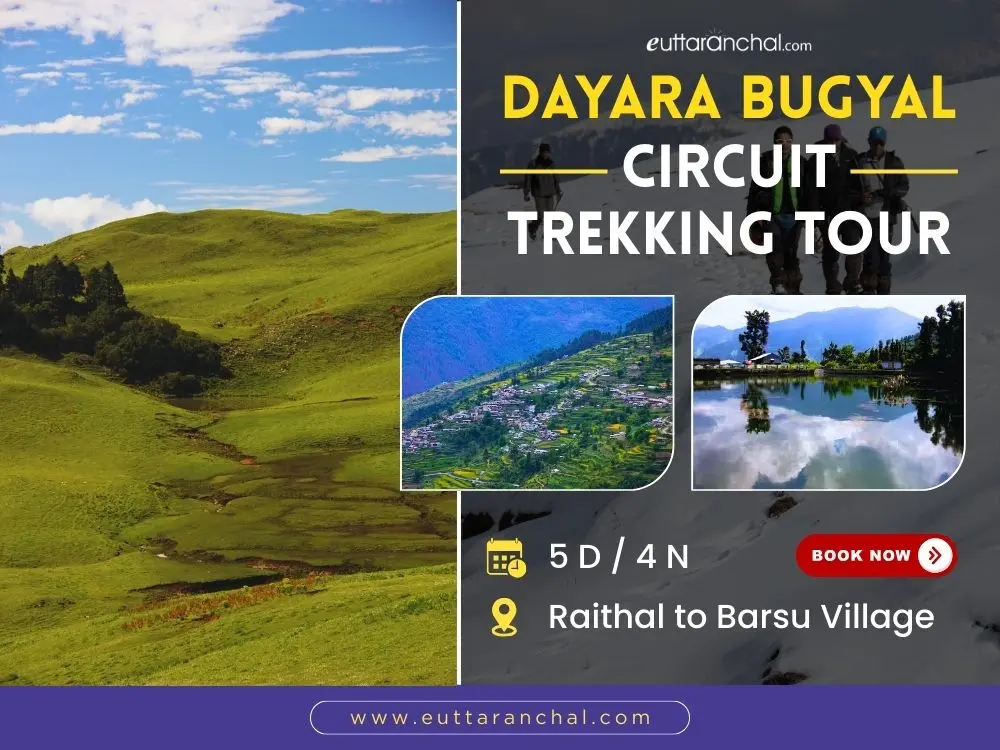 Complete Dayara Bugyal Circuit Trek