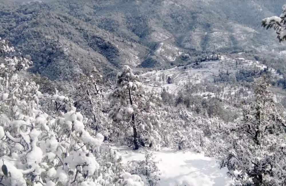 Abbot Mount regions after snowfall in winters. Pic: Sachin Sharma