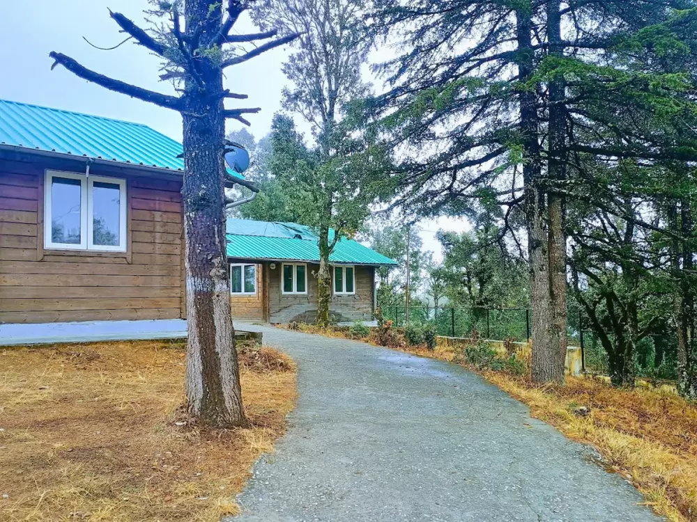 Eco Huts in Abbott Mount. Pic: 