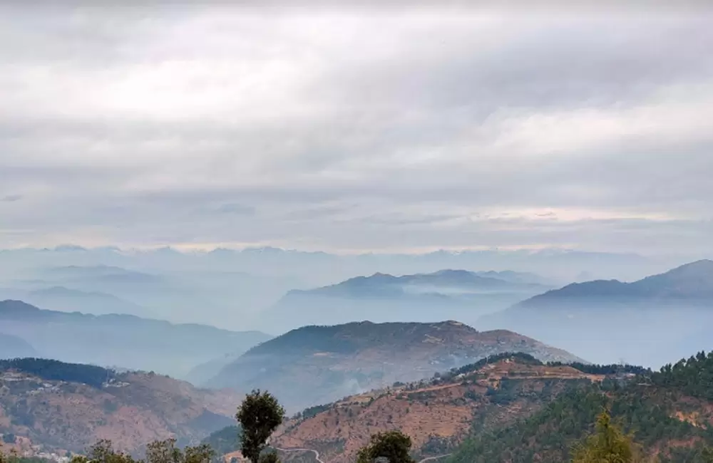 Views from Abbott Mount. Pic: Rohit Bhatt