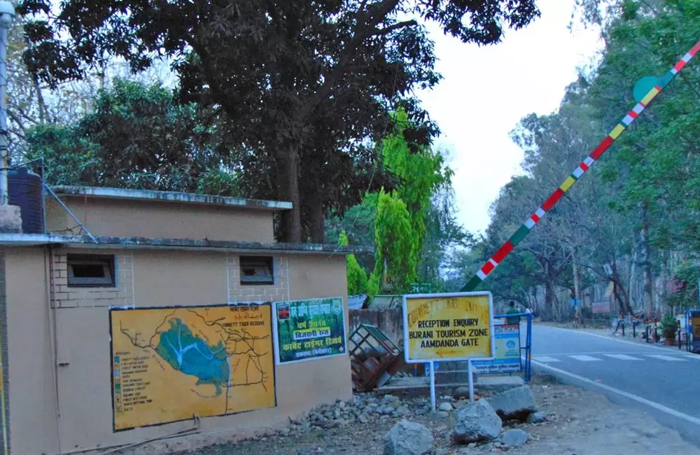 Aamdanda Gate in Corbett. Pic: 