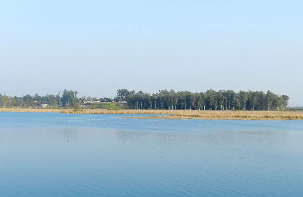 Assan Barrage Bird Sanctuary view.. Pic: eUttaranchal.com