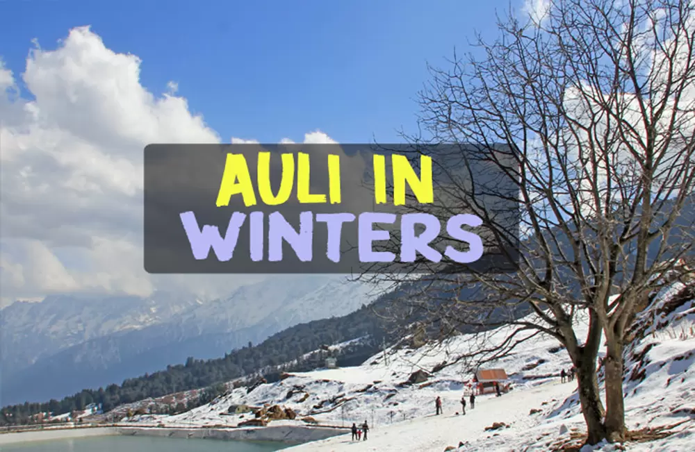 Auli in Winters