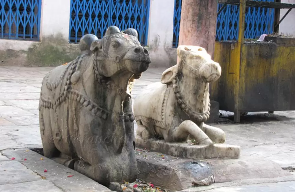 Inside Bagnath Temple, Bageshwar. Pic: eUttaranchal.com