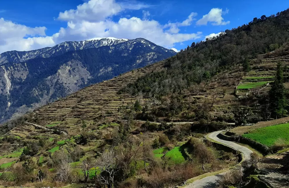 Road towards Barsu village. Pic: 