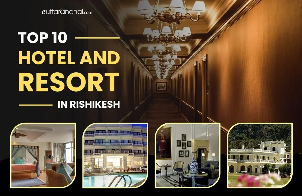 Top 10 Hotels and Resorts in Rishikesh