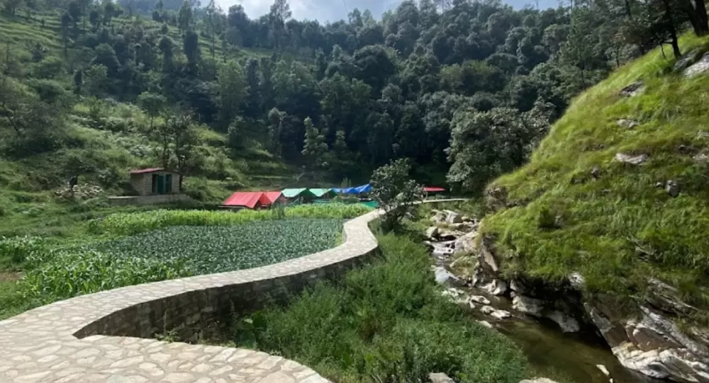 Trek path of Bhalugaad Waterfall Mukteshwar. Pic: 