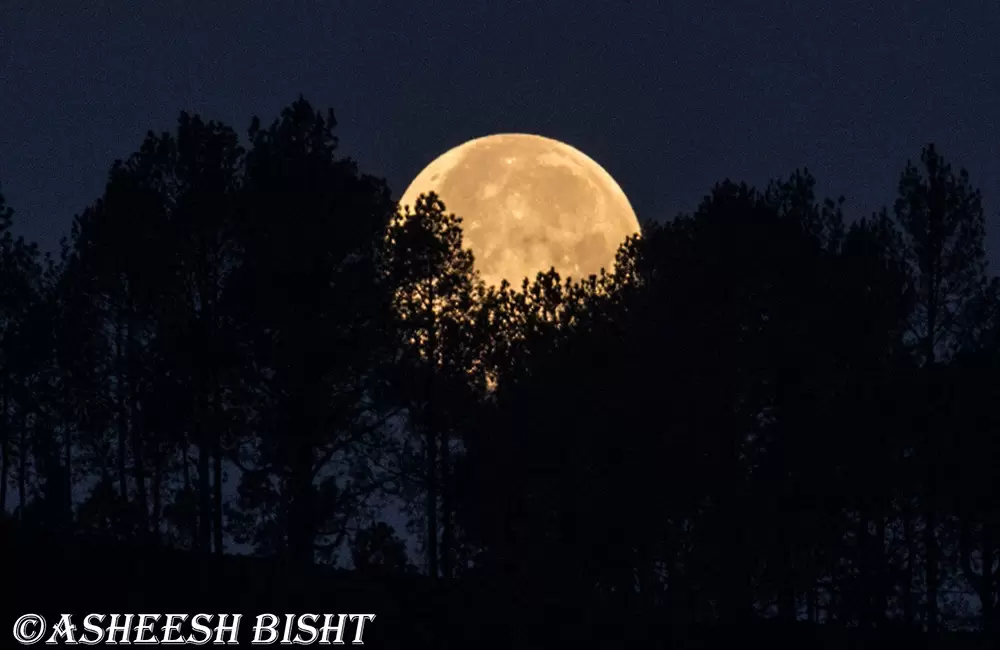 Bhimtal With Nainital Ranikhet 4 Nights