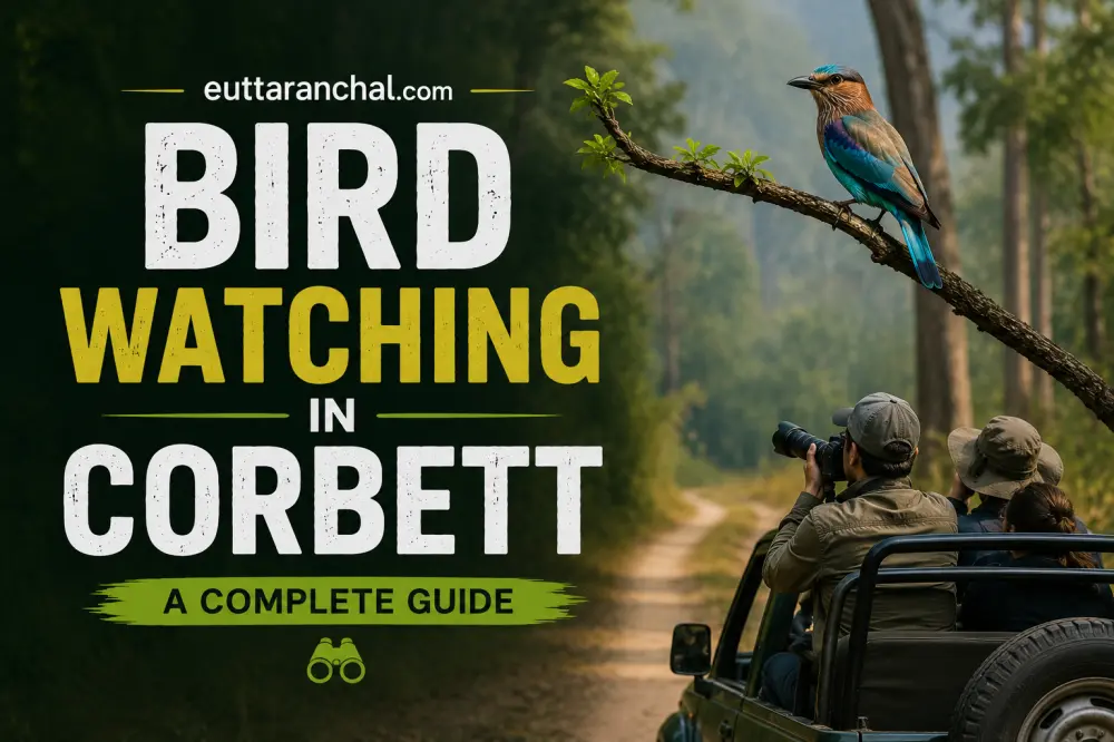 Bird Watching in Corbett Photos Bird Watching in Corbett