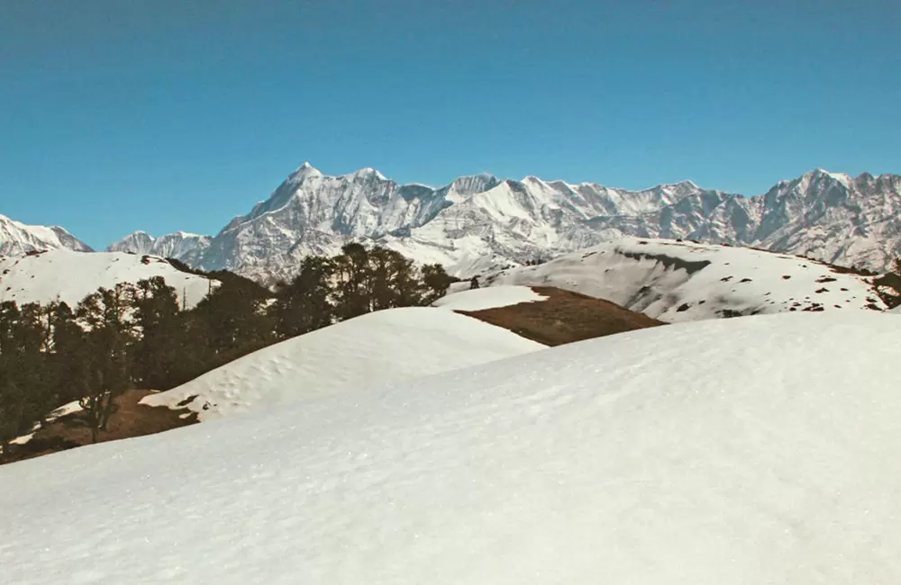 Snow covered route to Brahmatal. Pic: eUttaranchal