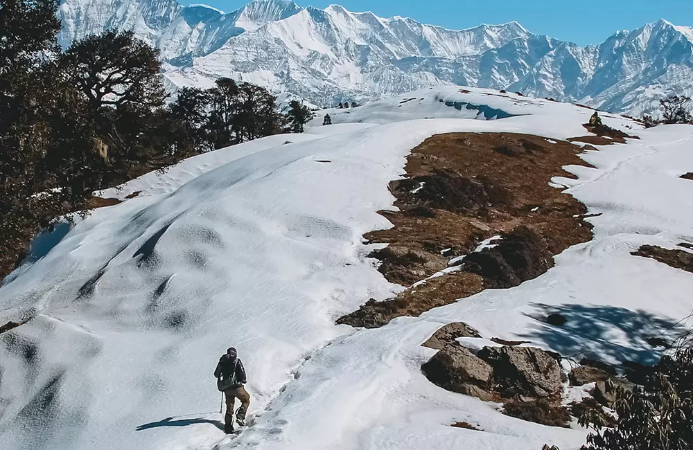 Ridge Walk towards Jatropani Peak. Pic: eUttaranchal