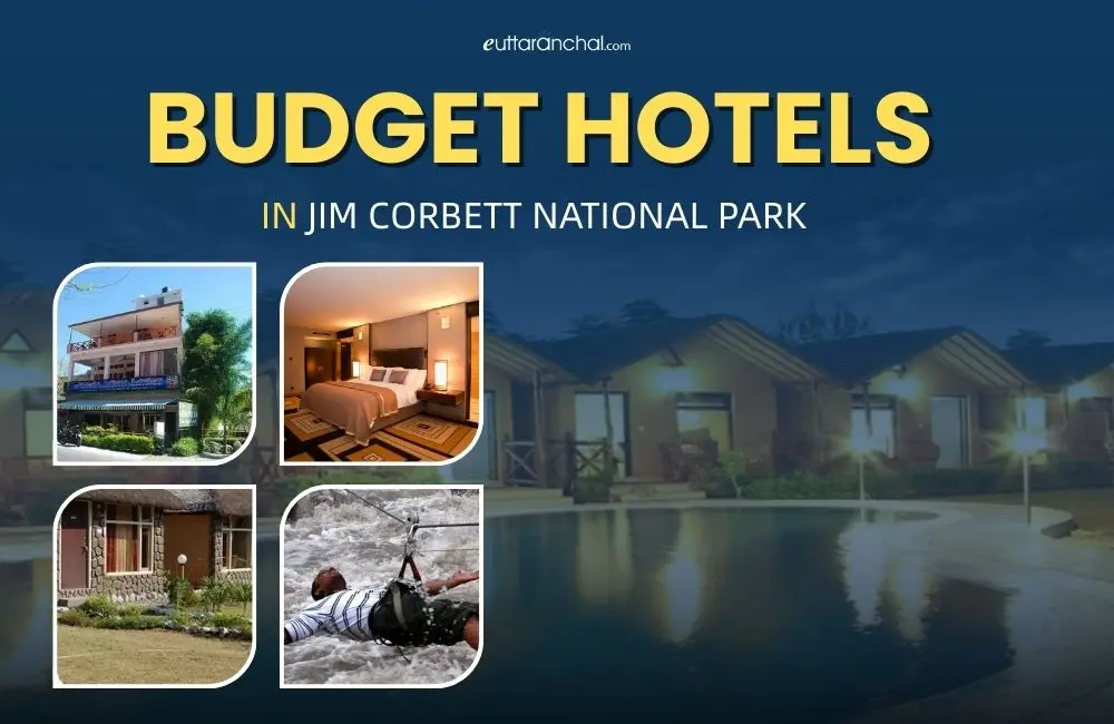 Budget Hotels in Jim Corbett National Park
