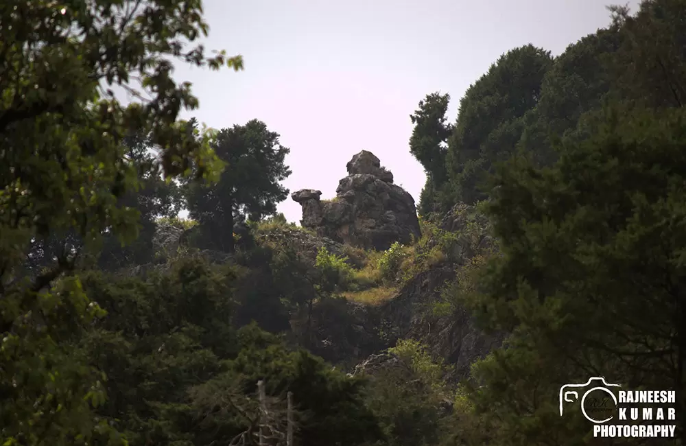 This is the Camelâ€™s Rock situated at Camelâ€™s Back Road, Mussoorie. Due to this rock the road is called Camelâ€™s Back Road. . Pic: Rajneesh Kumar 