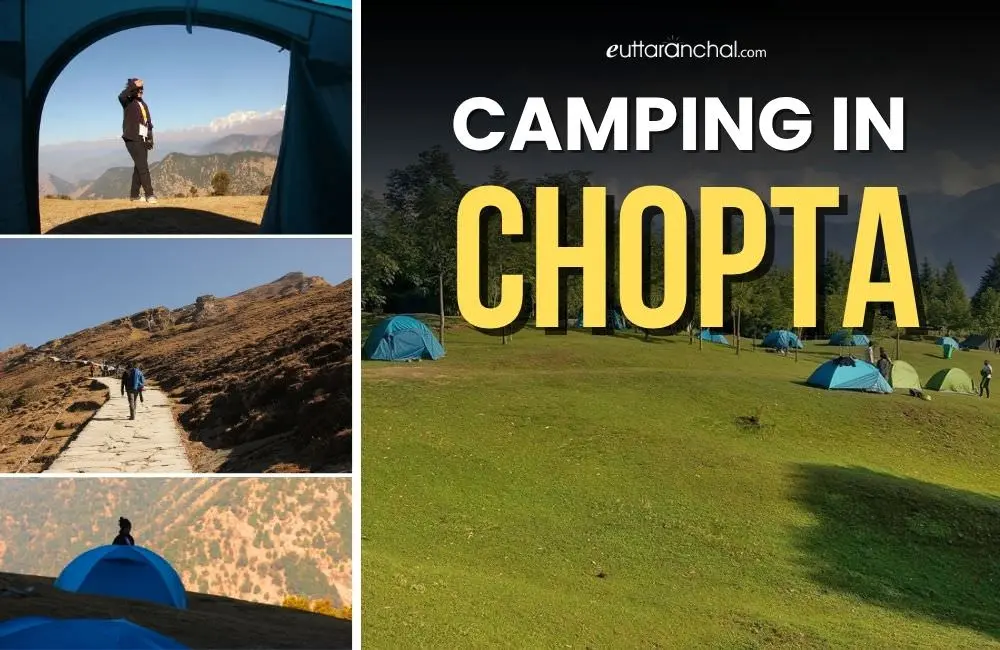 Camping in Chopta